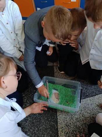 463042462_545229294925315_5895914748137194837_n