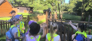 35e287cd-005f-4a38-b99e-84859e01ed7b.jpeg