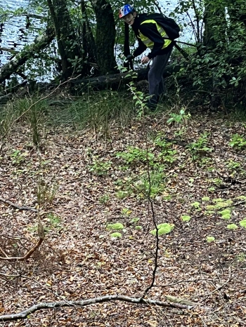 5c71e753-9e51-42b0-b7e5-c83c0e67b17b