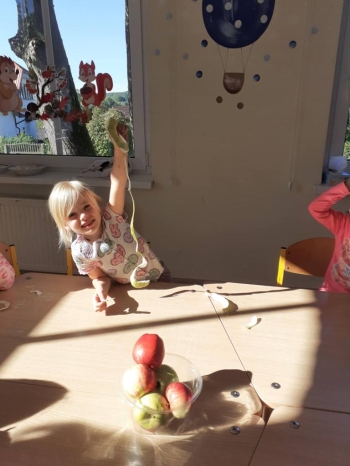 555733066_803781092403466_3042030825764874687_n