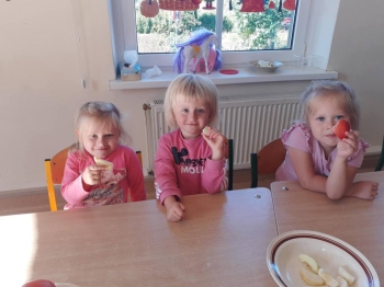 555870021_803780872403488_4042747807738937254_n