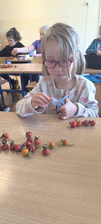 556976663_806557538792488_5403497452959538648_n