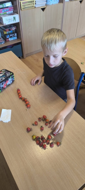 557669060_806556312125944_677789056745478325_n