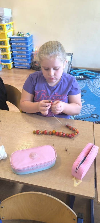 558107982_806556355459273_1798211001933737292_n