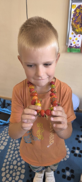 558108249_806557038792538_1713240495365447155_n