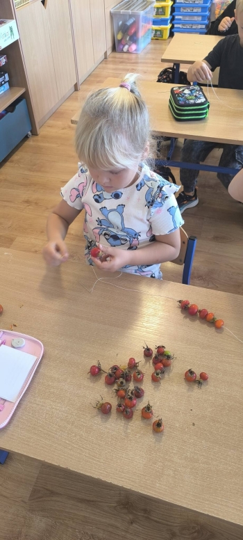 558143882_806556182125957_3261745441940090979_n