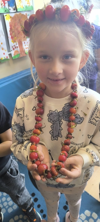 558225067_806556982125877_5481977575193810630_n