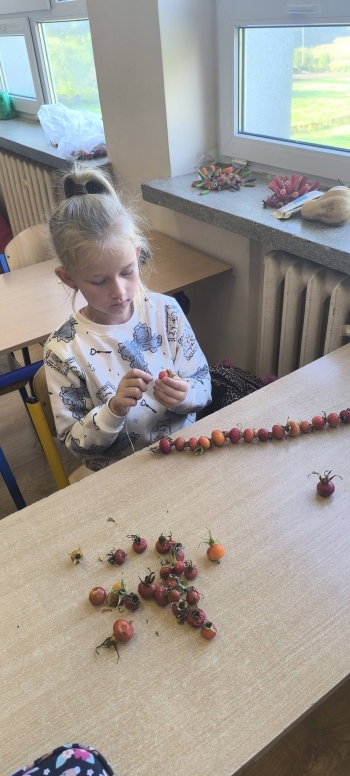 558276337_806556422125933_3965550476170112487_n