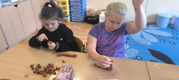 558468866_806556515459257_3253554790912032962_n