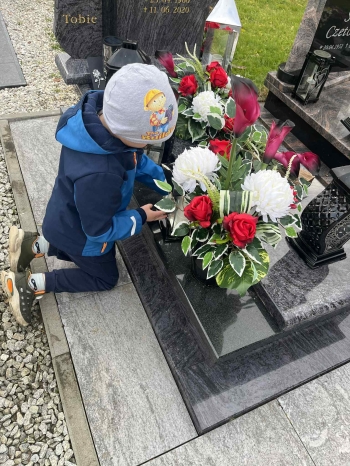 b37c31c2-e115-4d5c-a693-00b88e57c078