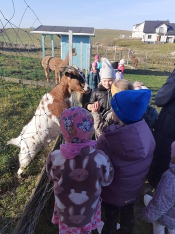 576288102_836749229106652_6330731911000556564_n