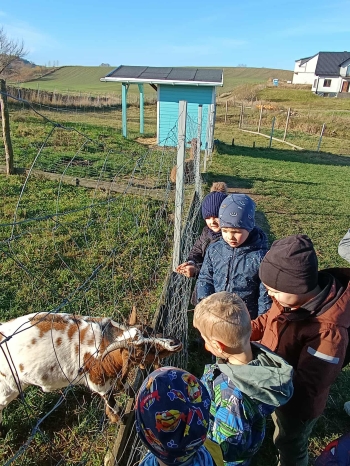 575101576_836751559106419_8444167391916793948_n