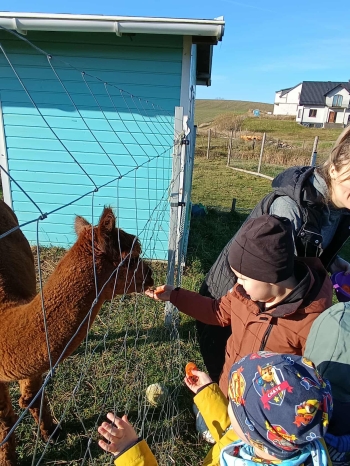 576732204_836750719106503_4244591214636076012_n