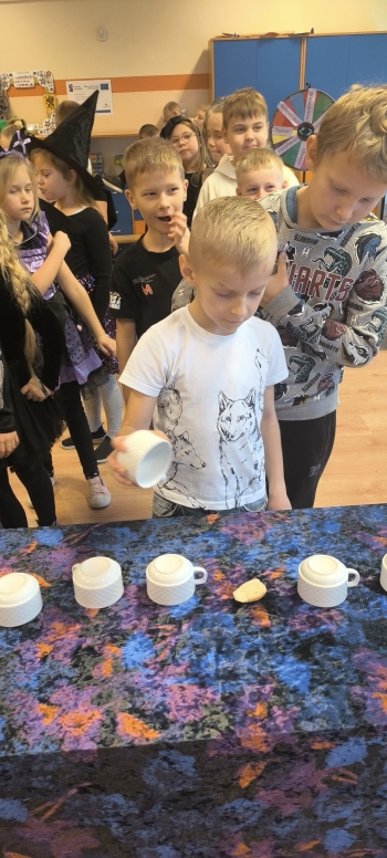 588421838_852537284194513_8670391508222166509_n