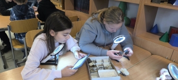 589895632_853979980716910_8083792560025132443_n