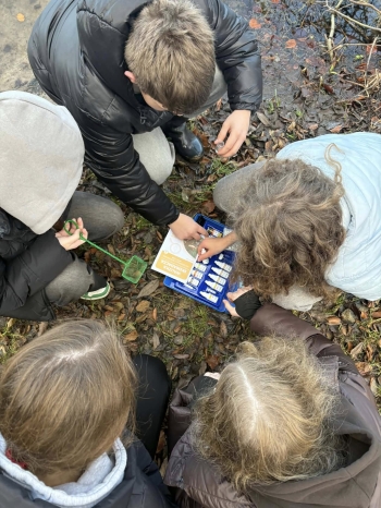 598565650_868516905929884_7567904082544679064_n