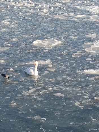 636757879_915223674592540_2097620849206609608_n