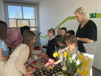 24e1a225-40a1-4f0f-a2c4-e5477598263e