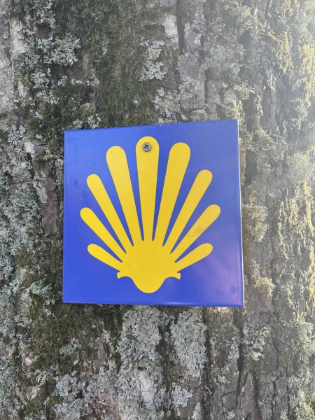 Szlakiem św. Jakuba