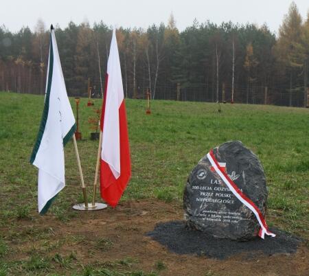 Sadziliśmy las dla Niepodległej