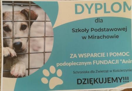 Akcja dla psiaka